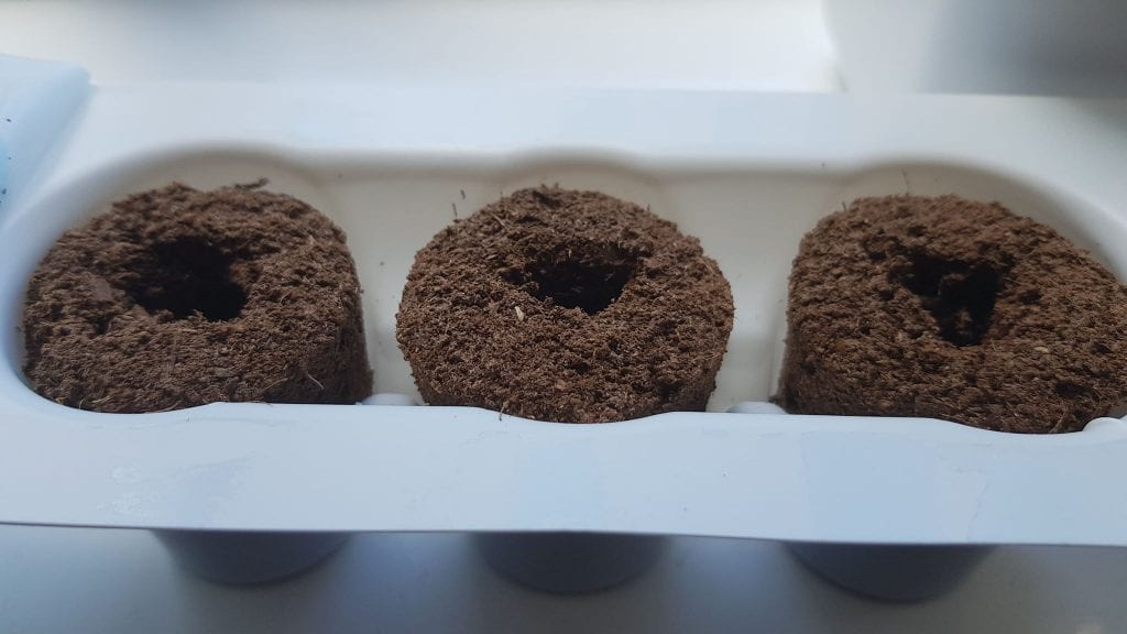 Ikklikkja u Kabbar Imżiewed tal-Ħamrija
